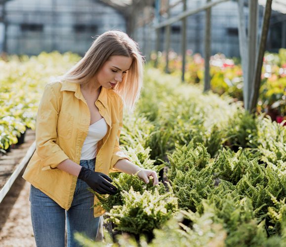 Sustainable Farming in USA